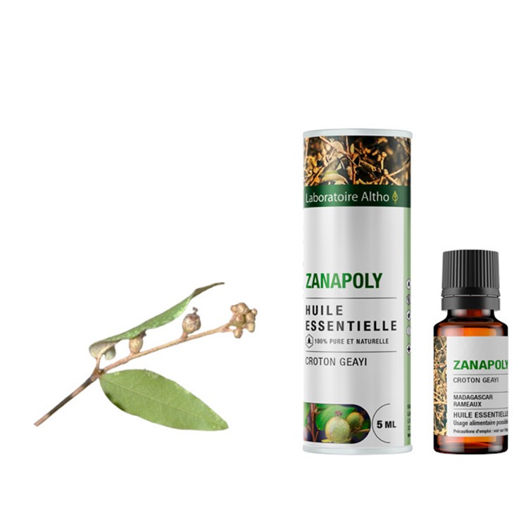 OLIO ESSENZIALE DI CROTON GEAYI (ZANAPOLY) - BIO scadenza ravvicinata Laboratoire Altho Laboratoire Altho
