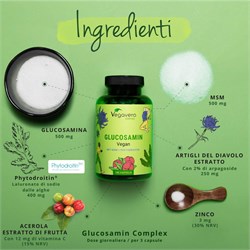 GLUCOSAMIN COMPLEX - INTEGRATORE Vegavero