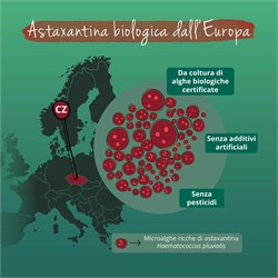 ASTAXANTINA - INTEGRATORE Vegavero