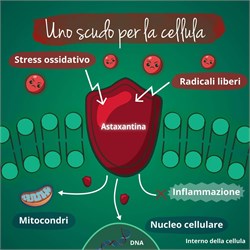 ASTAXANTINA - INTEGRATORE Vegavero