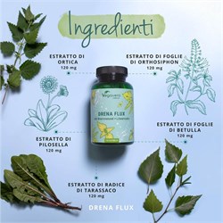 DRENA FLUX - INTEGRATORE Vegavero