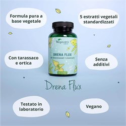 DRENA FLUX - INTEGRATORE Vegavero