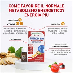 ENERGIA PIÙ - METABOLISMO ENERGETICO Equilibra