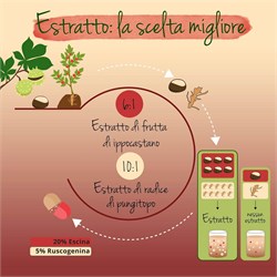 VENAFLUX - INTEGRATORE Vegavero