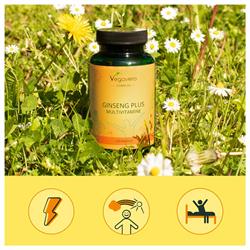 GINSENG PLUS (MULTIVITAMINICO) - INTEGRATORE Vegavero