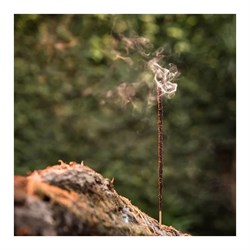 INCENSO  NATURAL  MIRRA - SAGRADA MADRE Incensi & Accessori