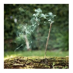 INCENSO  NATURAL  RUTA ROSMARINO OLIBANO - SAGRADA MADRE *Non più assortito