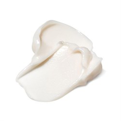 KREMO - CREMA DISCIPLINANTE BisouBio