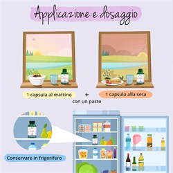 PREGNANCY - INTEGRATORE Vegavero