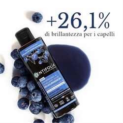 SHAMPOO E DISTRICANTE VIOLET  ANTIGIALLO  Centifolia