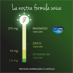 ZINCO - MAGNESIO - VITAMINA B6 - INTEGRATORE Vegavero