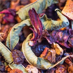 TISANA TEMPO DEL GUSTO Le Comptoir d'herboristerie