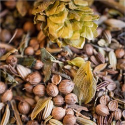 TISANA ALLATTAMENTO Le Comptoir d'herboristerie