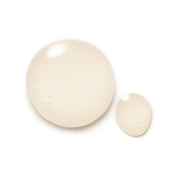 SHAMPOO Dr. Hauschka