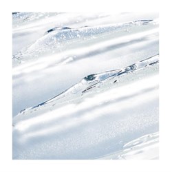 GEL PER SOPRACCIGLIA -TRASPARENTE Daily Dose
