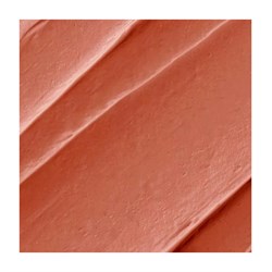 BLUSH IN STICK - 03 ML Daily Dose
