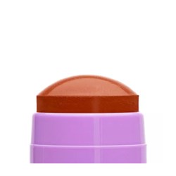 BLUSH IN STICK - 03 ML Daily Dose