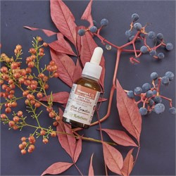 SIERO VISO ILLUMINANTE - VITAMINA C + IBISCO Rasayana