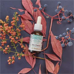 SIERO VISO PURIFICANTE - ACIDO SALICILICO + TULSI Rasayana