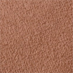 PASTELLO OCCHI - PEANUT BUTTER Neve Cosmetics