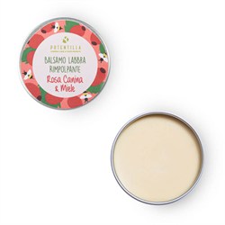 BALSAMO LABBRA RIMPOLPANTE Potentilla