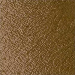 PASTELLO OCCHI - AVOCADO Neve Cosmetics