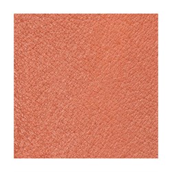 PASTELLO LABBRA  SYMBOL  Neve Cosmetics