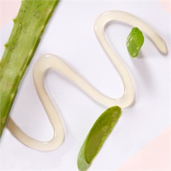 GEL ALOE VERA Centifolia
