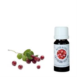 OLIO DI SEMI DI MIRTILLO ROSSO 10 ml Kobashi