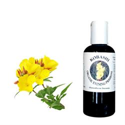 OLIO DI ENOTERA 100 ml Kobashi