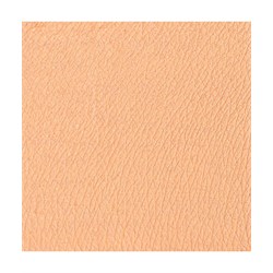 PASTELLO OCCHI - ILLUSION Neve Cosmetics