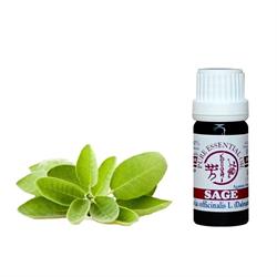 OLIO ESSENZIALE DI SALVIA SPAGNOLA 10 ml Kobashi