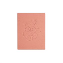 BLUSH IN CIALDA  AMOUREUSE  N. 321 zzz DYP Cosmethic