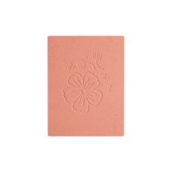 BLUSH IN CIALDA  AMOUREUSE  N. 321 zzz DYP Cosmethic