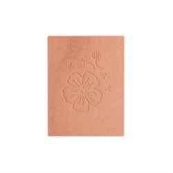 BLUSH IN CIALDA  AMOUREUSE  N. 323 zzz DYP Cosmethic