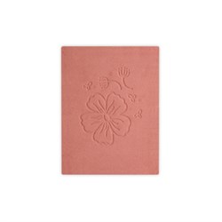 BLUSH IN CIALDA  AMOUREUSE  N. 324 zzz DYP Cosmethic