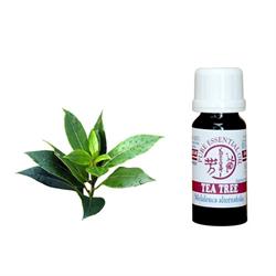 OLIO ESSENZIALE DI TEA TREE Kobashi