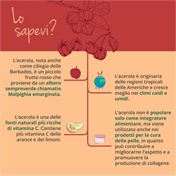 VITAMINA C - INTEGRATORE Vegavero
