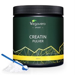 CREATINA MONOIDRATA IN POLVERE - INTEGRATORE *Non più assortito