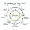 COMPLESSO DI VITAMINE B PLUS - INTEGRATORE Vegavero