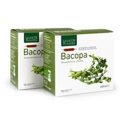 BACOPA (BRAHMI) - INTEGRATORE Ligne De Plantes