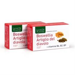 BOSWELLIA E ARTIGLIO DEL DIAVOLO - INTEGRATORE Ligne De Plantes