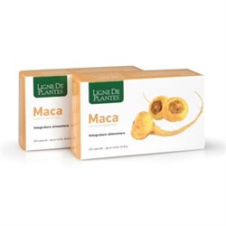 MACA (CAPSULE) - INTEGRATORE Ligne De Plantes