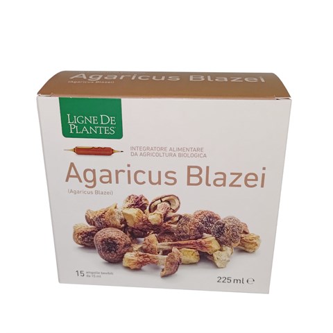 AGARICUS BLAZEI - INTEGRATORE