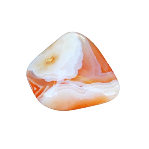 AGATA ALBICOCCA BURATTATA