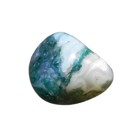 AGATA MUSCHIATA BURATTATA