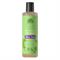 ALOE VERA - SHAMPOO ANTI-FORFORA 250 ml Urtekram
