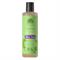 ALOE VERA - SHAMPOO CAPELLI SECCHI 250 ml Urtekram