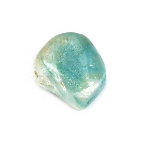 AMAZZONITE BURATTATA