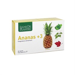 ANANAS +3 - INTEGRATORE Ligne De Plantes